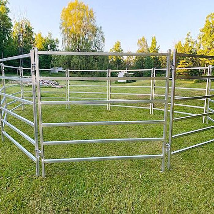 Bảng điều khiển chăn nuôi