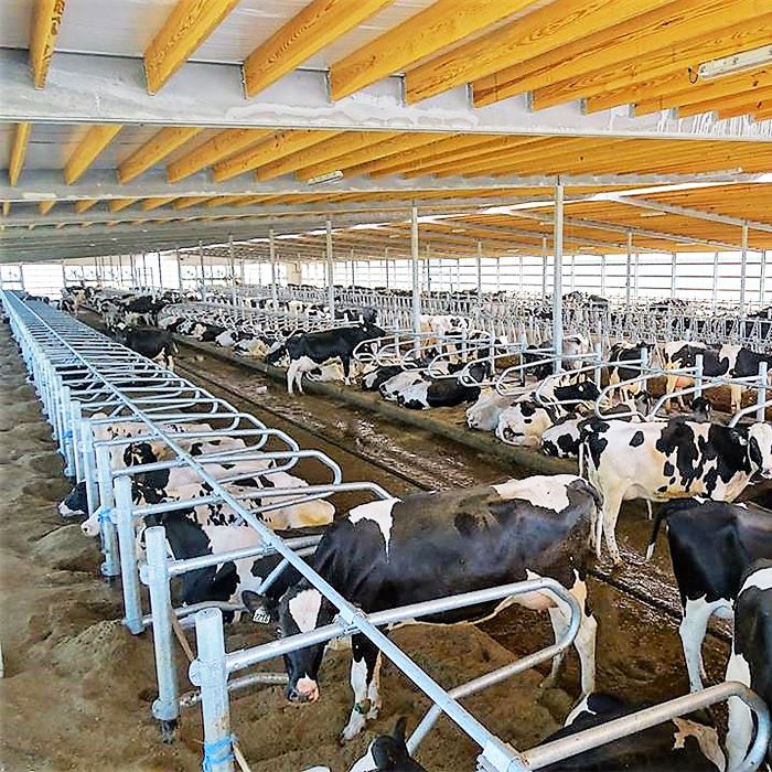 Thiết bị chăn nuôi