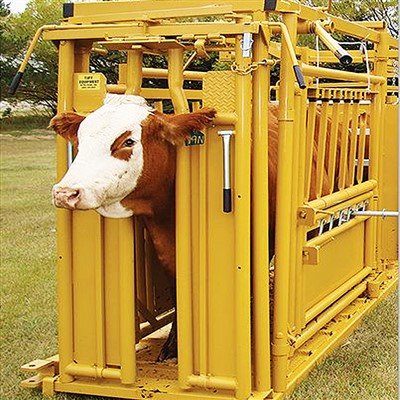 Cổng đầu gia súc thủ công