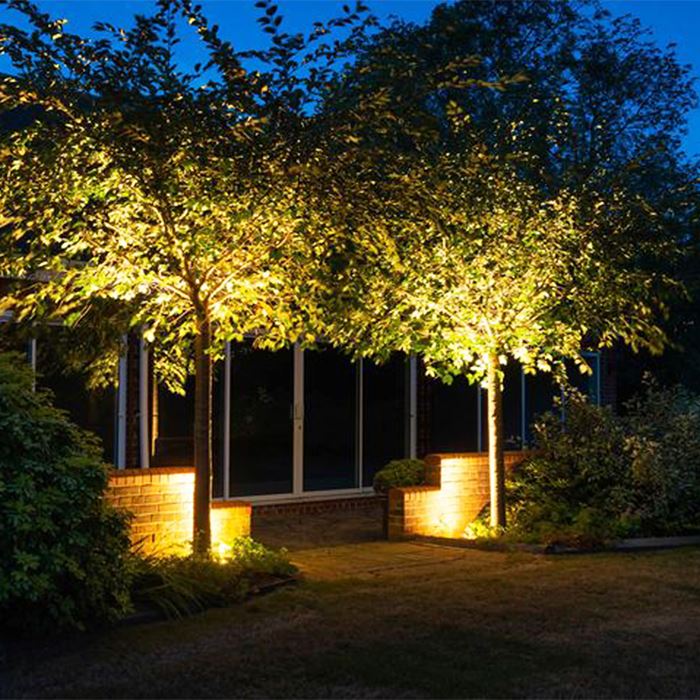 Tree Light Tree Light